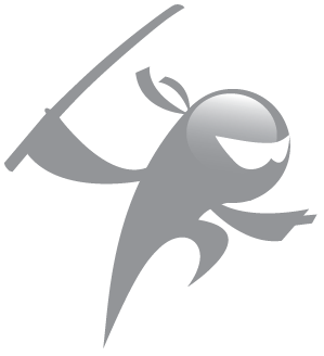Logo Ninja Solutions Shinken Monitoring